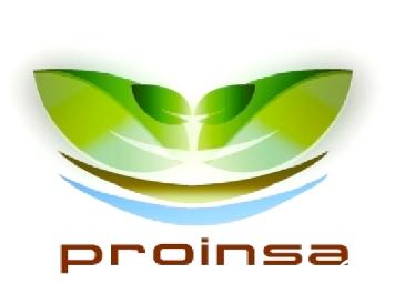 proinsa